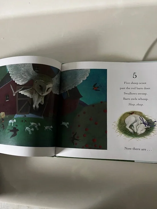 Ten Sleepy Sheep Kids Book - Picture 5 of 6